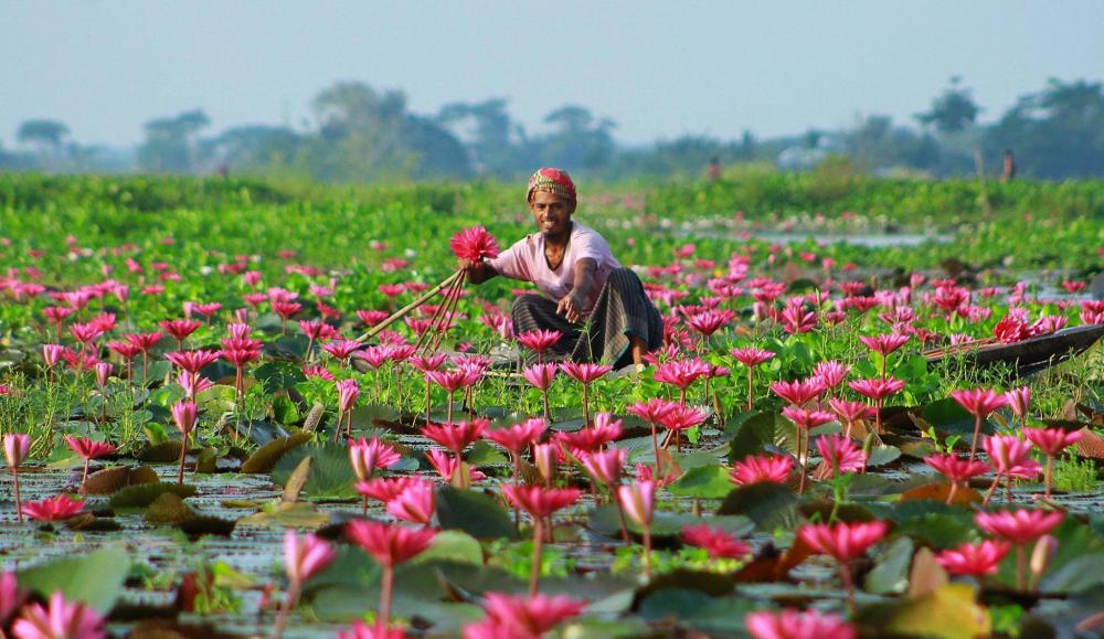 Things To Do In Bangladesh