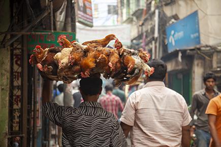 Old Dhaka Walking Tour